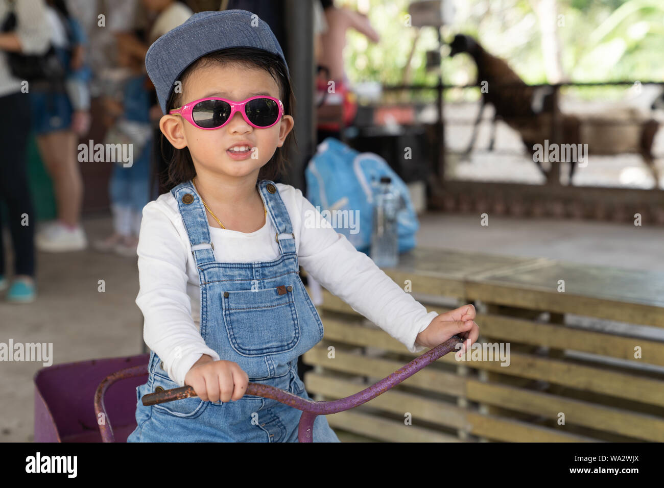 Asian cute girl is enjoying in the sheep farm, Activities family to enhance the learning experience of children. summer vacation holiday travel, famil Stock Photo