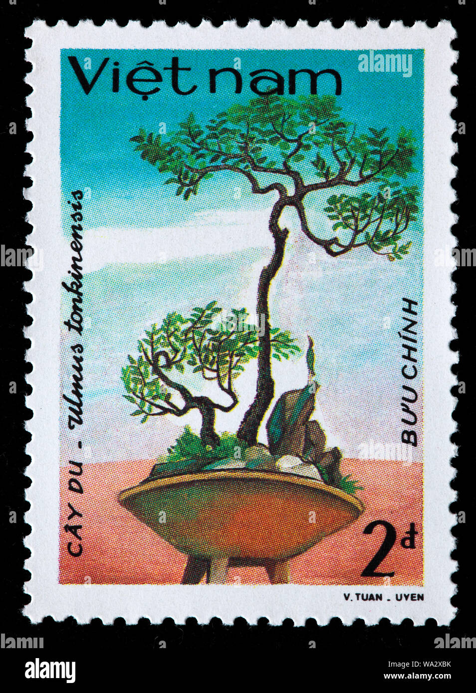 Ulmus lanceifolia, Ulmus tonkinensis, Vietnam elm, bonsai tree, postage stamp, Vietnam, 1986 Stock Photo