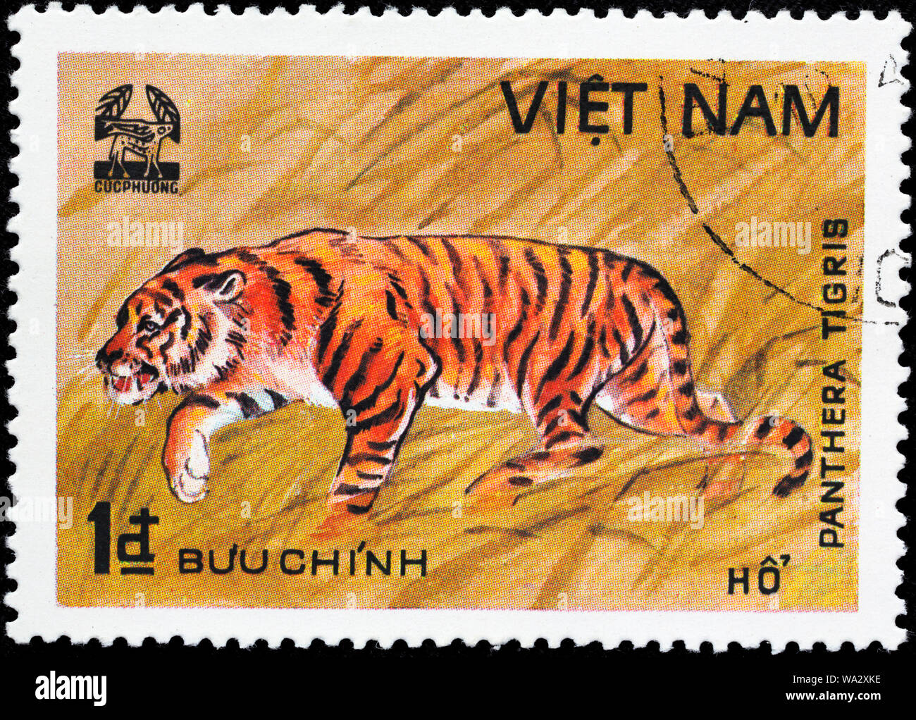 Tiger, Panthera tigris, Cuc Phuona Nati Forest, postage stamp, Vietnam, 1981 Stock Photo