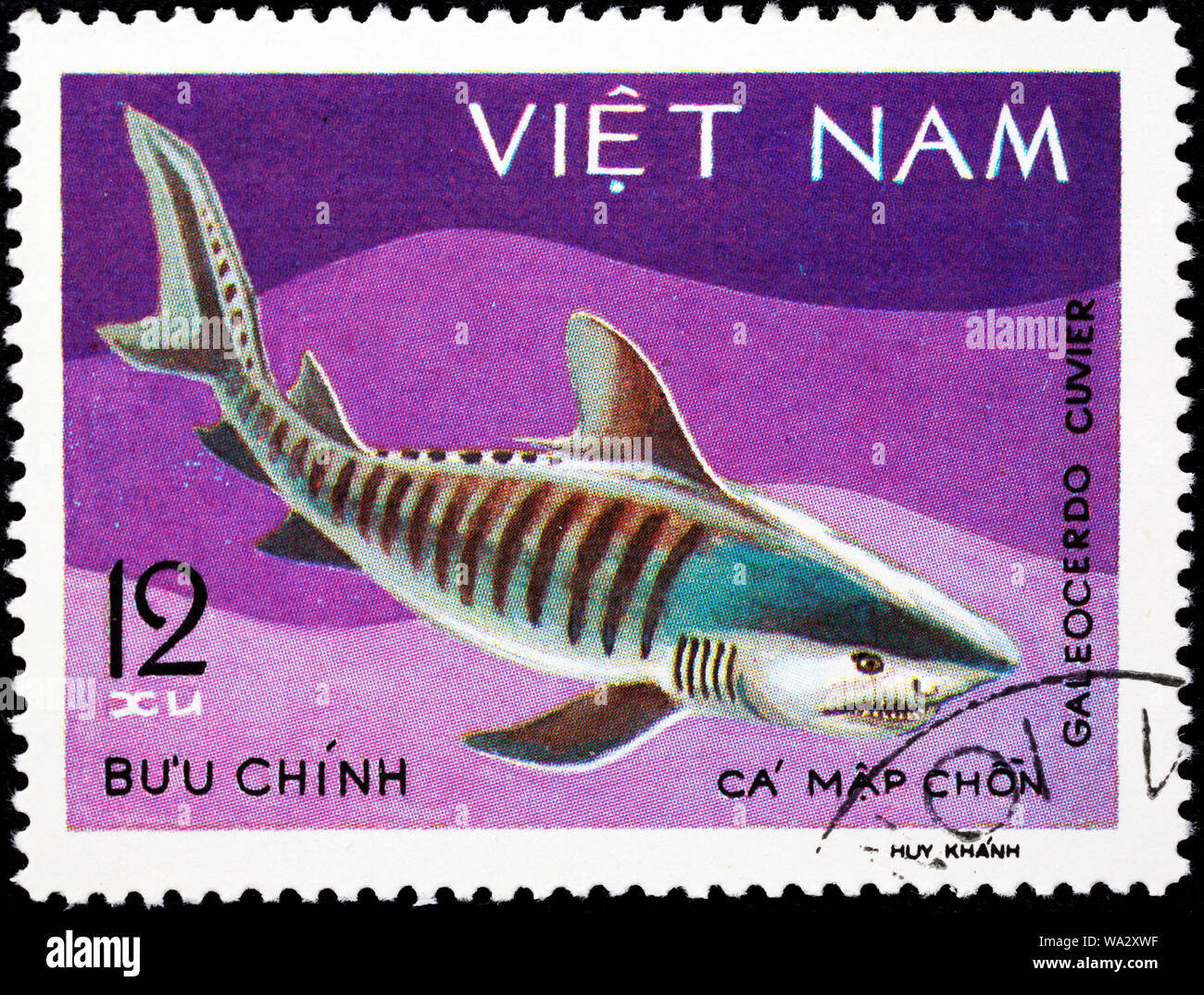 Galeocerdo cuvier, Tiger shark, postage stamp, Vietnam, 1980 Stock Photo