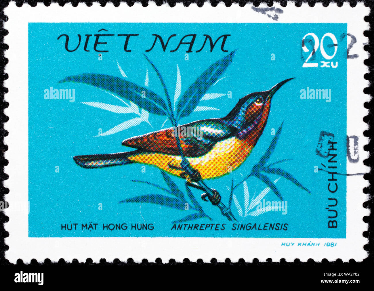 Anthreptes singalensis, Ruby-cheeked Sunbird, postage stamp, Vietnam, 1981 Stock Photo