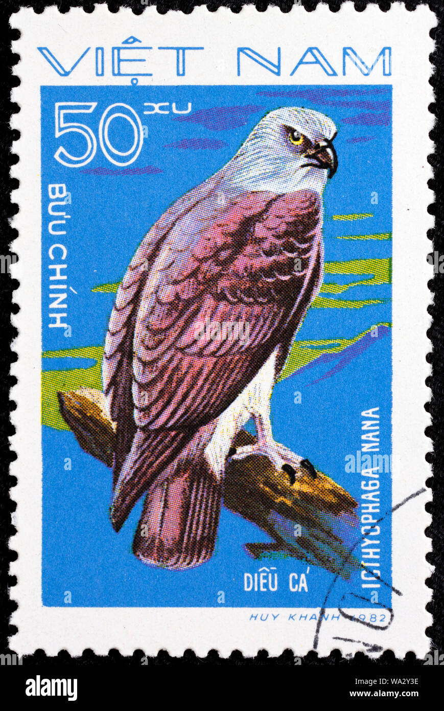 Haliaeetus ichthyaetus, Grey-headed Fish Eagle, Bird of Prey, postage stamp, Vietnam, 1982 Stock Photo