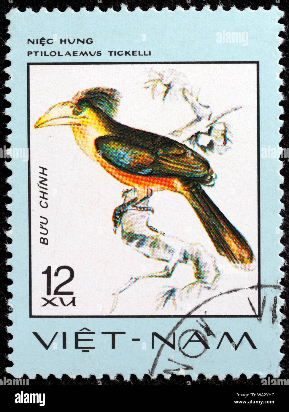 Anorrhinus tickelli, Tickell's brown hornbill, rusty-cheeked hornbill, postage stamp, Vietnam, 1977 Stock Photo