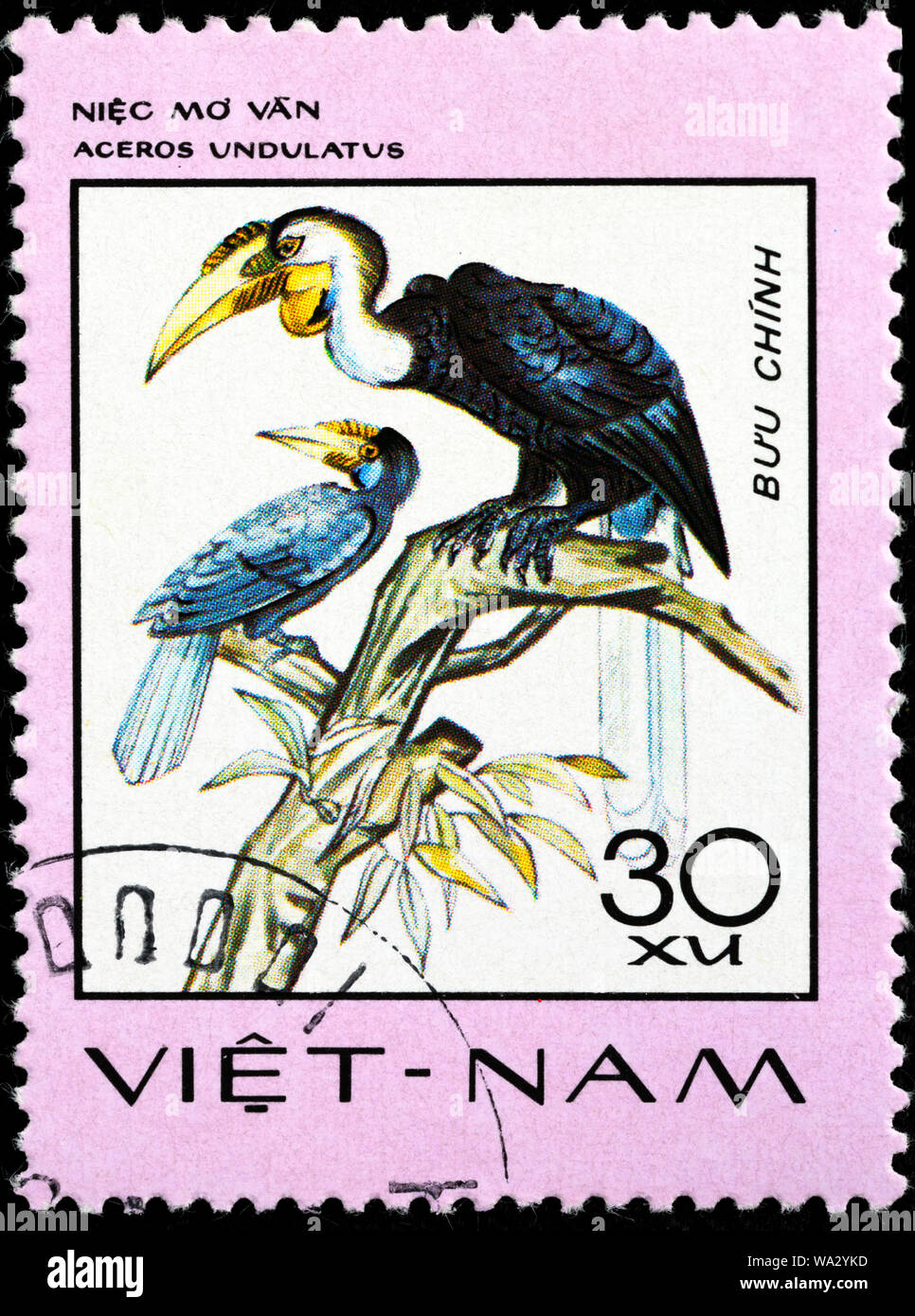 Rhyticeros undulatus, Aceros undulatus, Wreathed Hornbill, postage stamp, Vietnam, 1977 Stock Photo