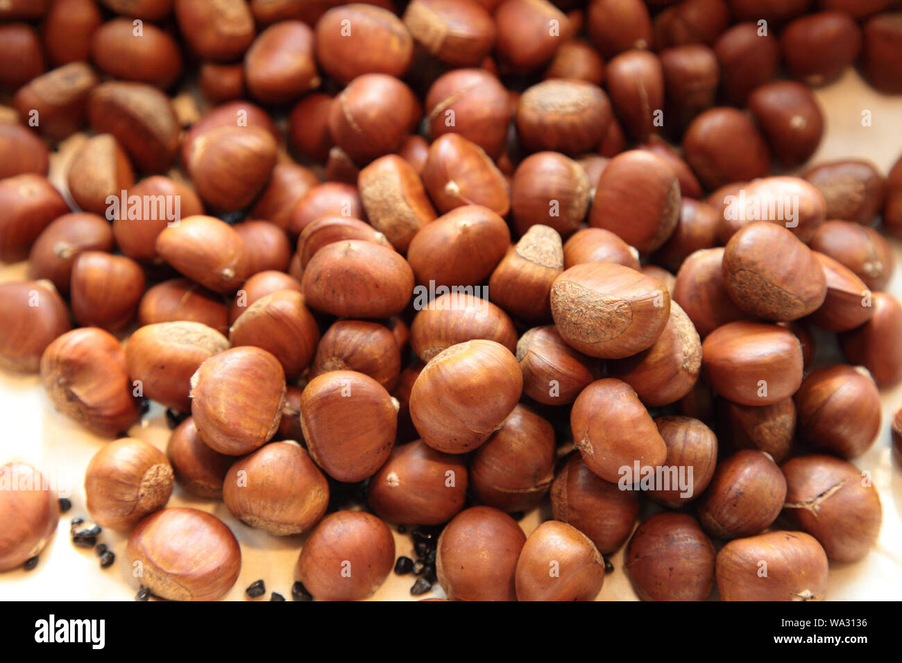 On a fry leaf hi-res stock photography and images - Alamy