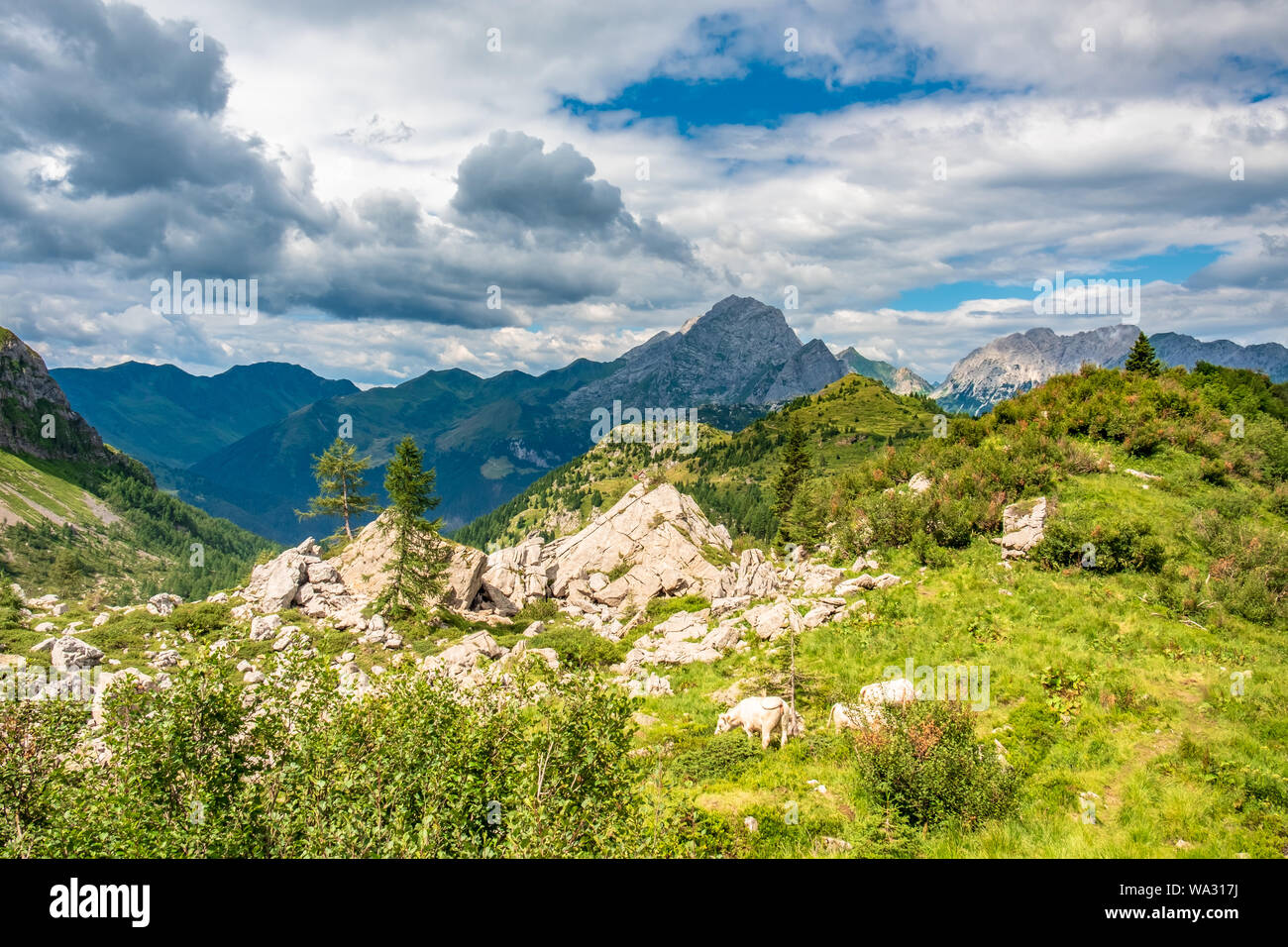 Summer day in the alps of Friuli Venezia-Giulia, Italy Stock Photo - Alamy