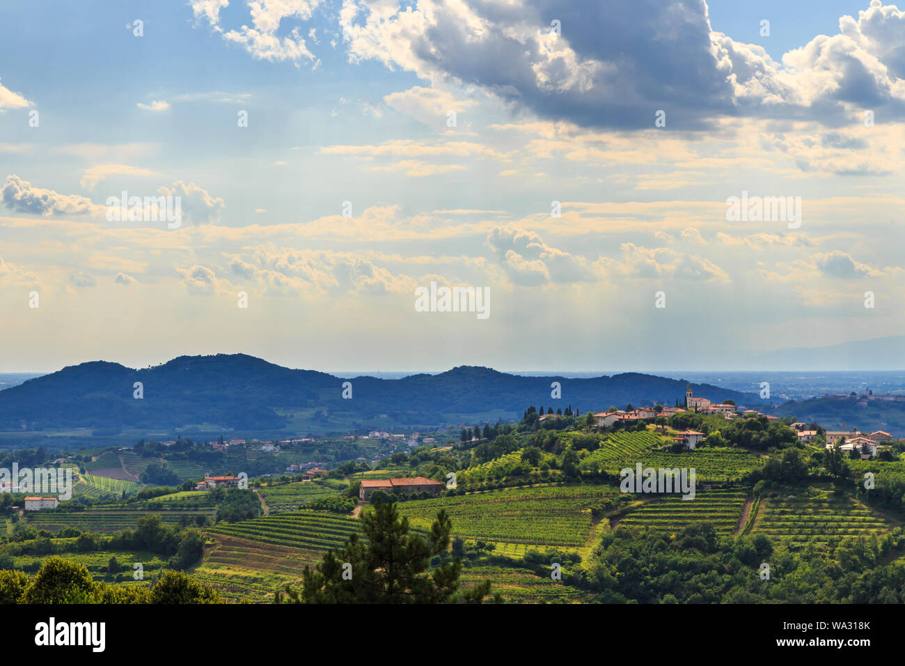 Italy slovenia border vineyard hi-res stock photography and images - Alamy