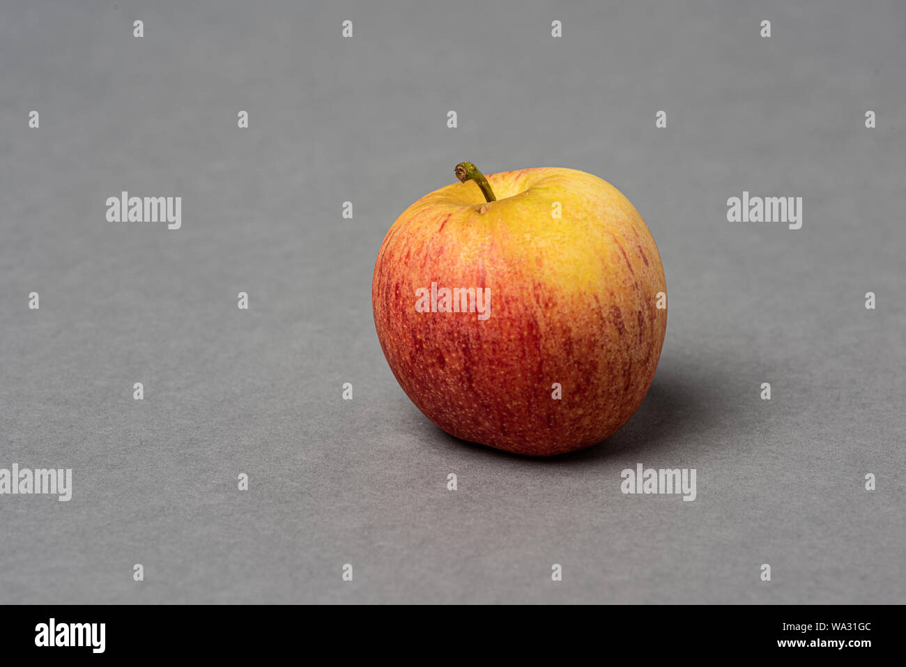Red and yellow apple on grey background. Stock Photo