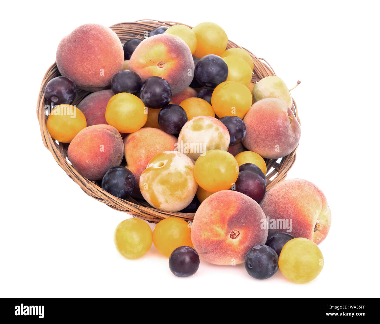 Old fashioned fruit from long abandoned orchard. Various tiny plums, greengages maybe and small, sweet peaches. Foraged natural fruit. Isolated. Stock Photo