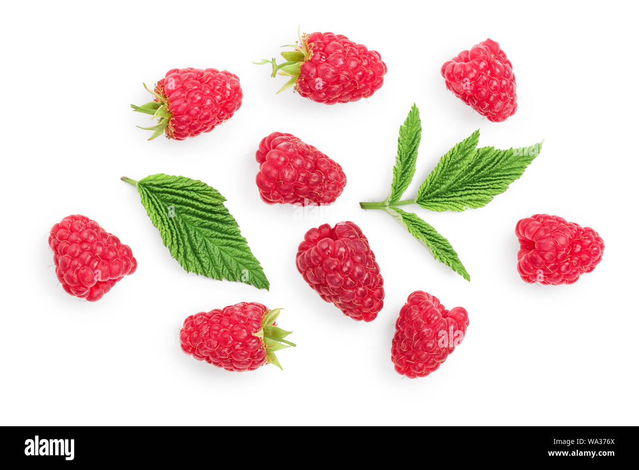Raspberry Flat Lay raspberries with leaves isolated on white background. Top view. Flat ...