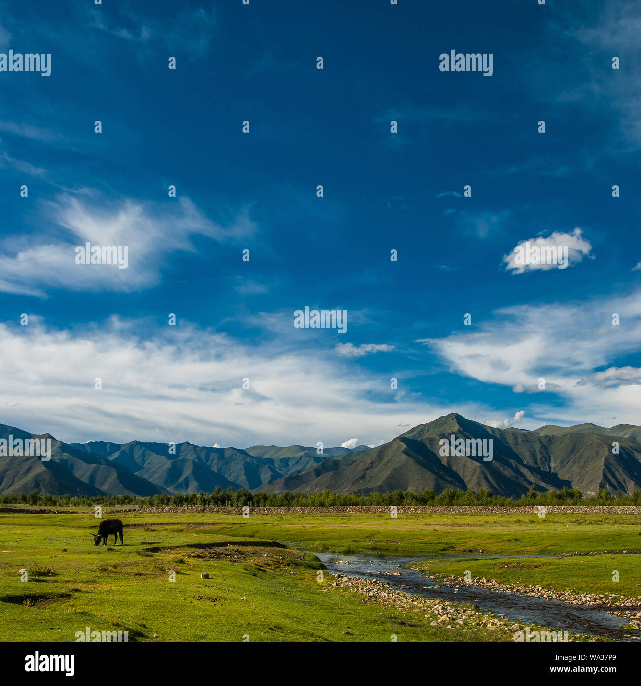 Autonomous worker hi-res stock photography and images - Alamy