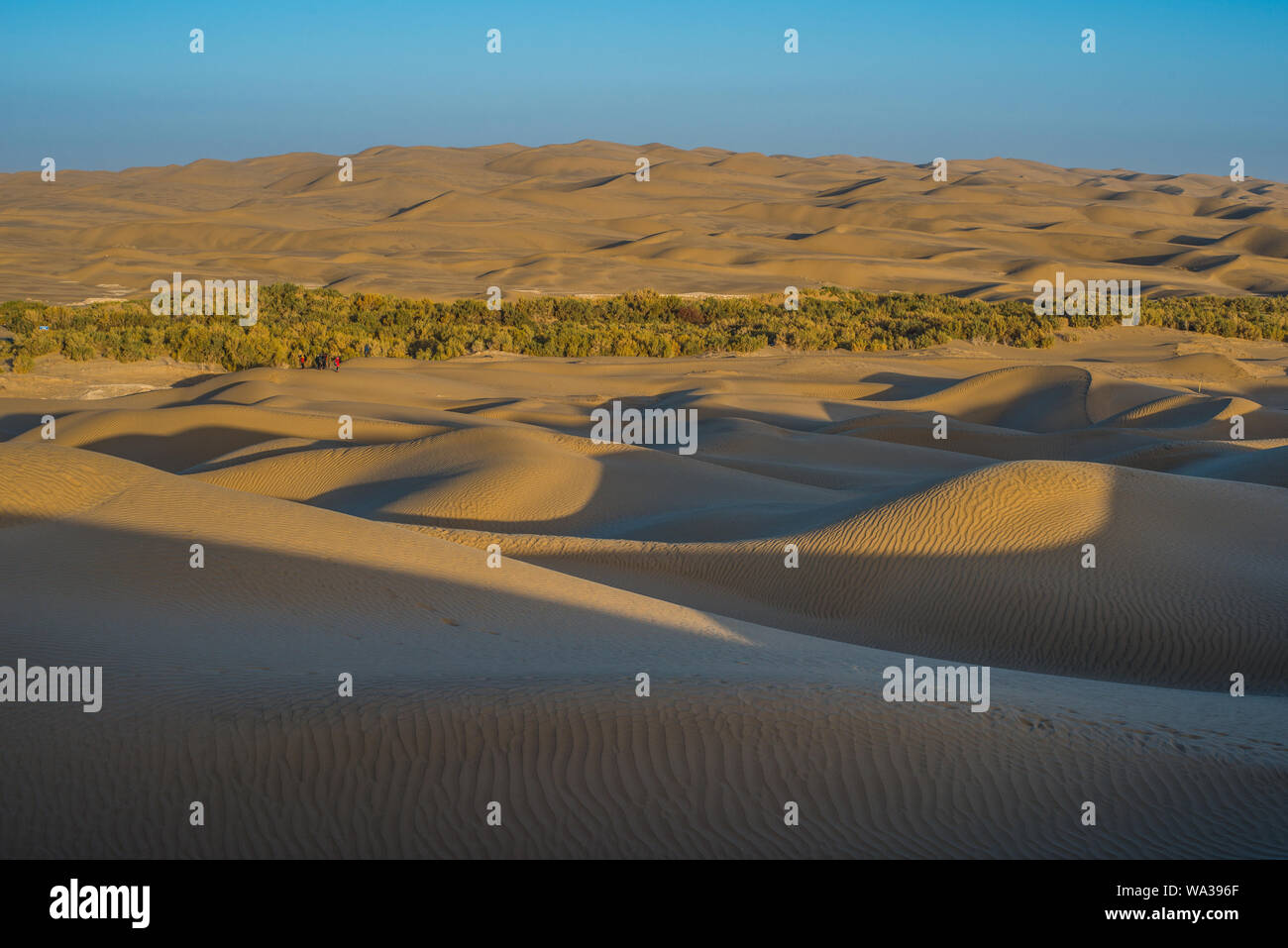 The taklamakan desert Stock Photo