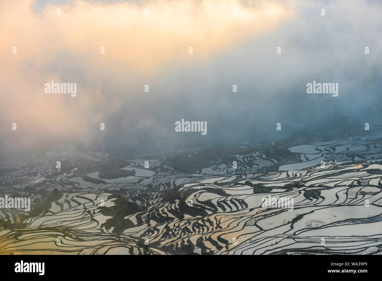 Yuan Yang terraces Stock Photo