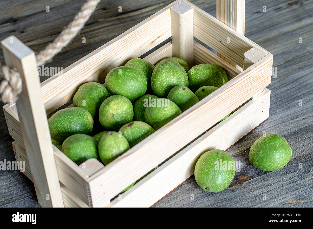 Young green fruits of walnuts in a green shell in a wooden box. Stock Photo