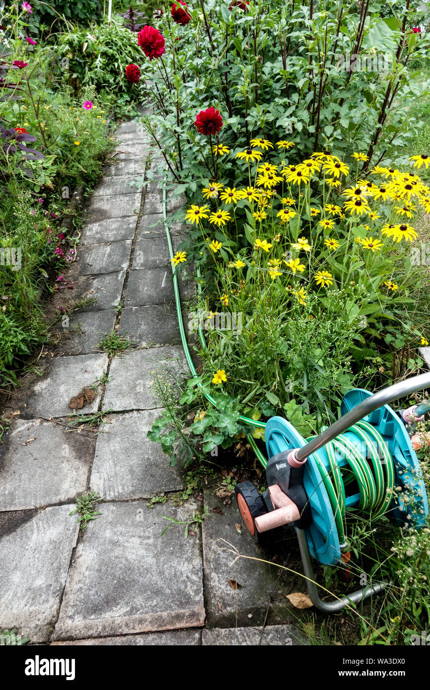 Irrigation hose laid in the garden paved path Stock Photo