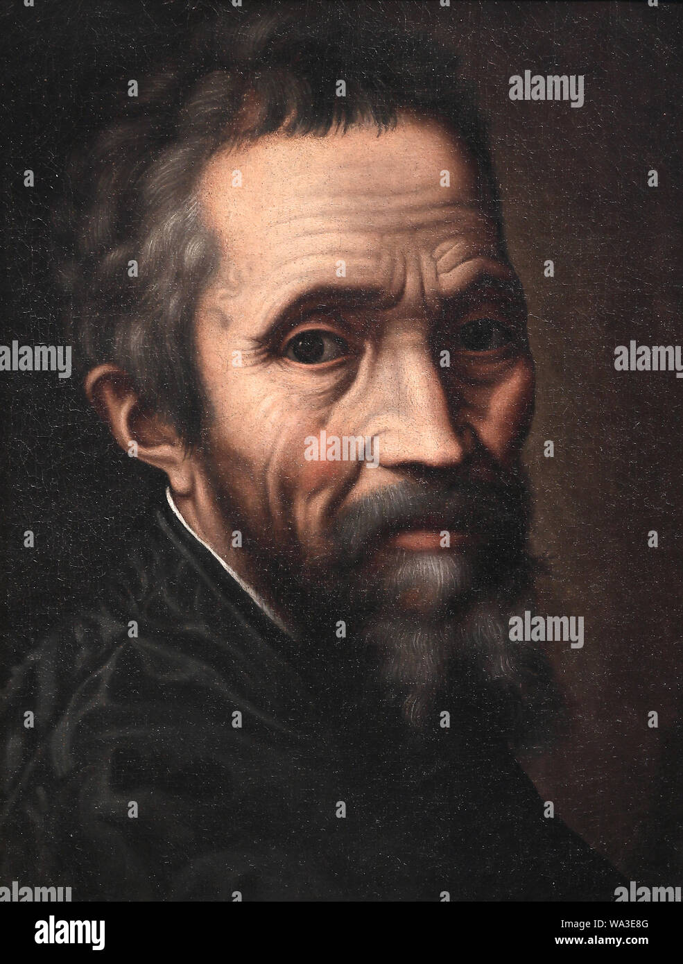 Self portrait of michelangelo hi-res stock photography and images