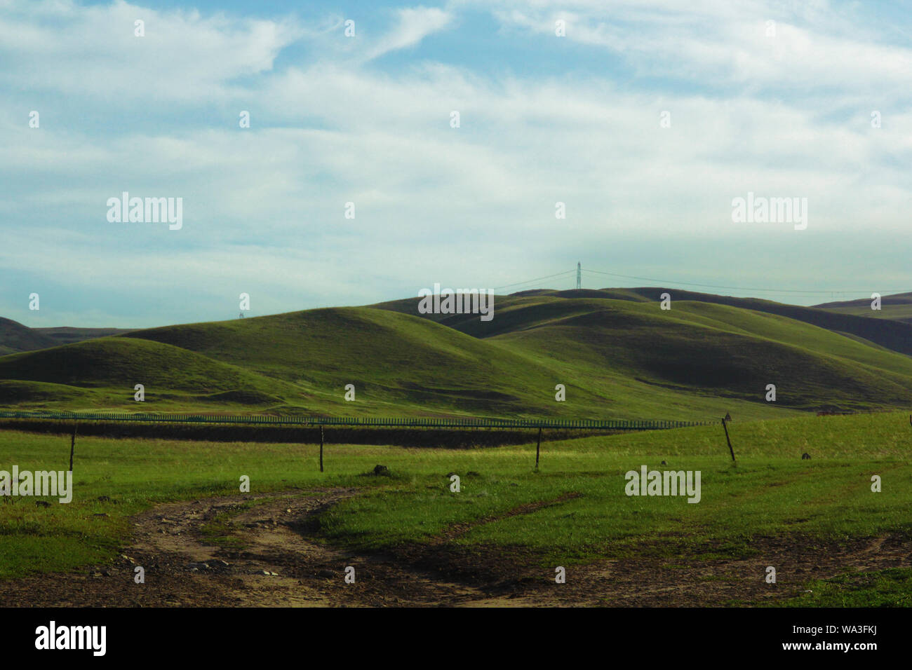 Grasslands mongolian mongolia hi-res stock photography and images - Alamy