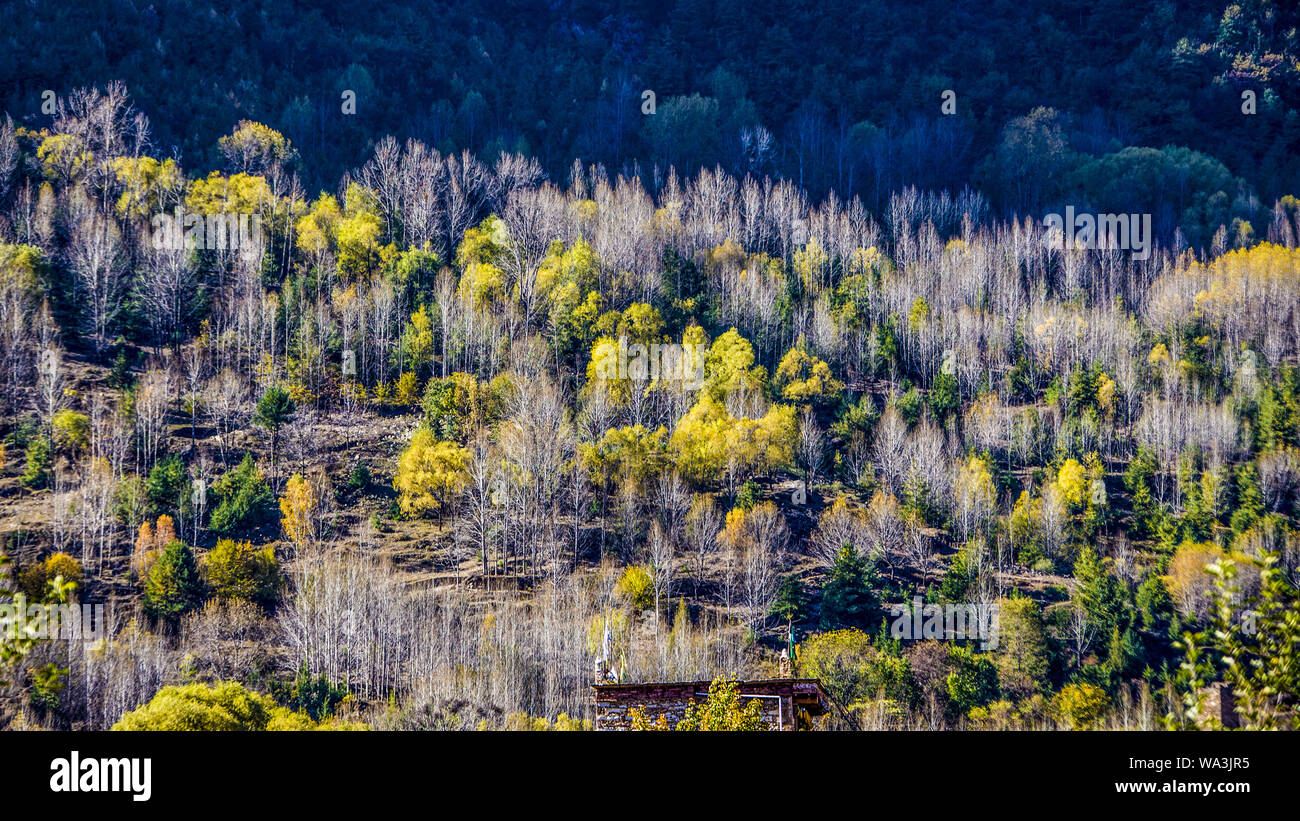 Tibetan village scenery Stock Photo Alamy
