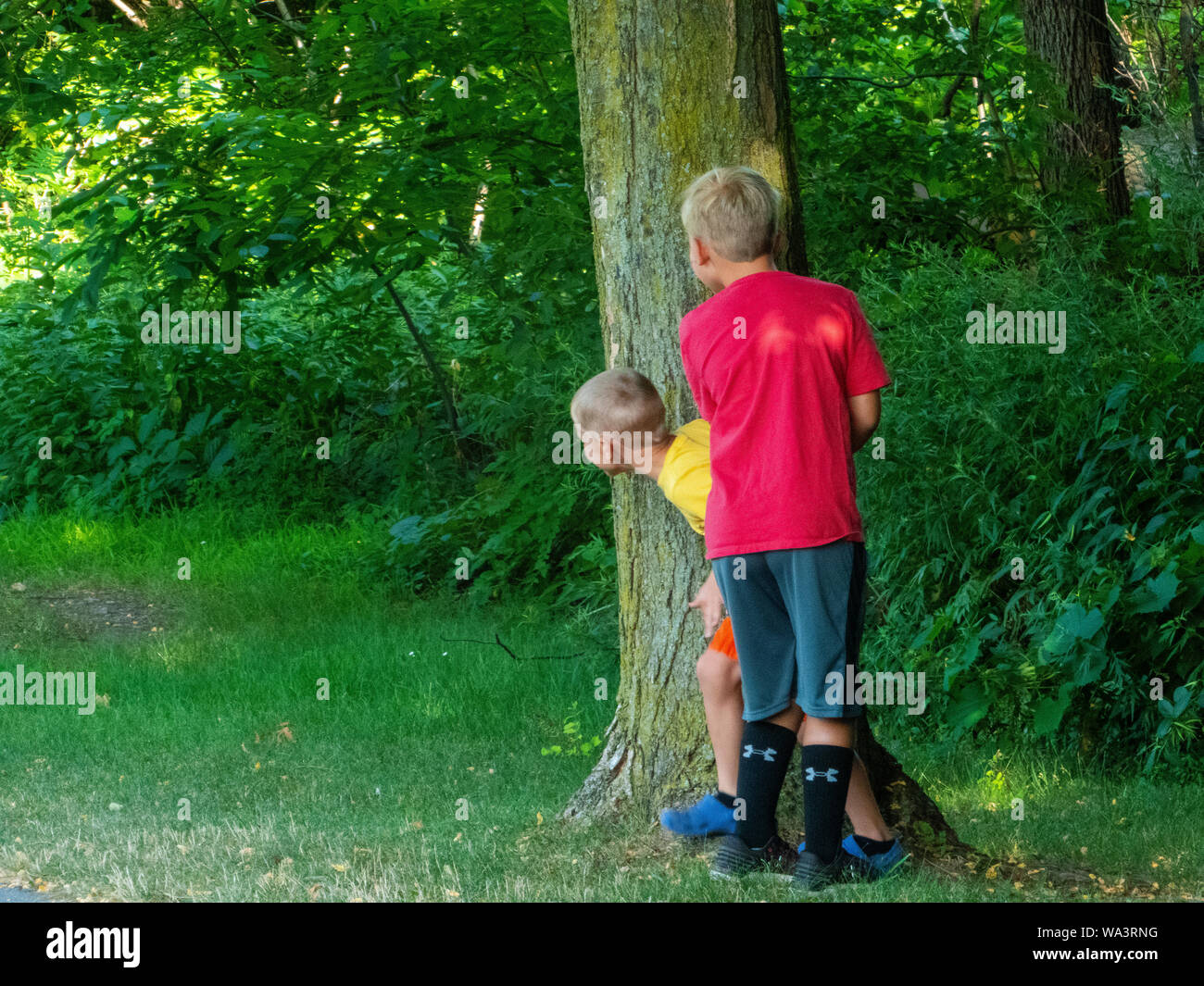 Boys playing hide and seek. Stock Photo