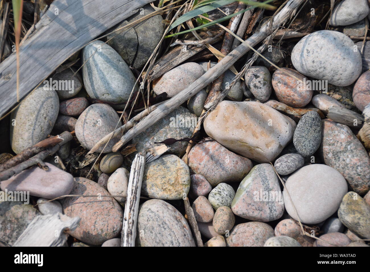 Flat Rocks, Sticks, Twigs and Stones Stock Image - Image of