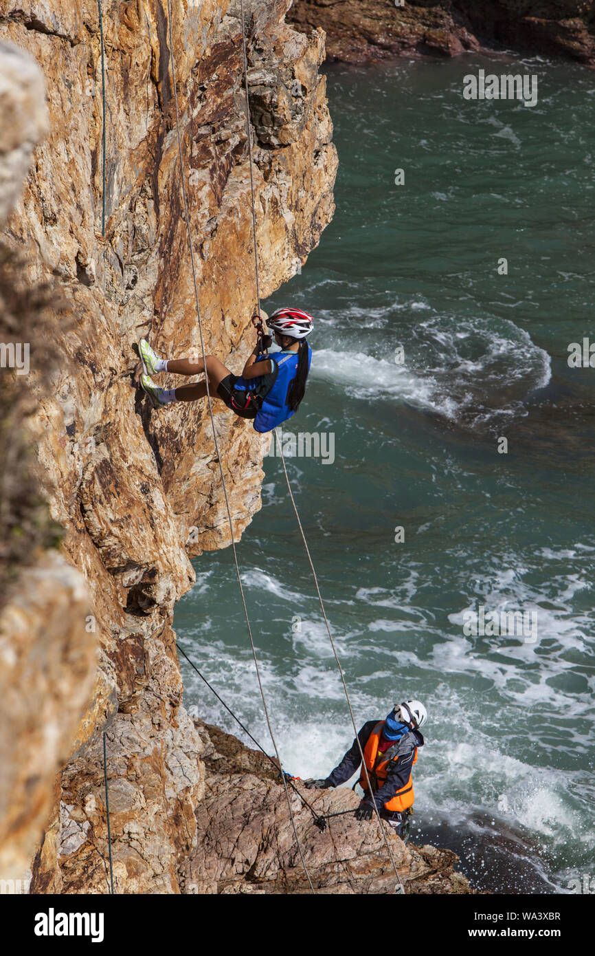 Climbing deer hires stock photography and images Alamy