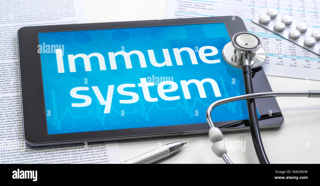 The word Immune system on the display of a tablet Stock Photo Alamy