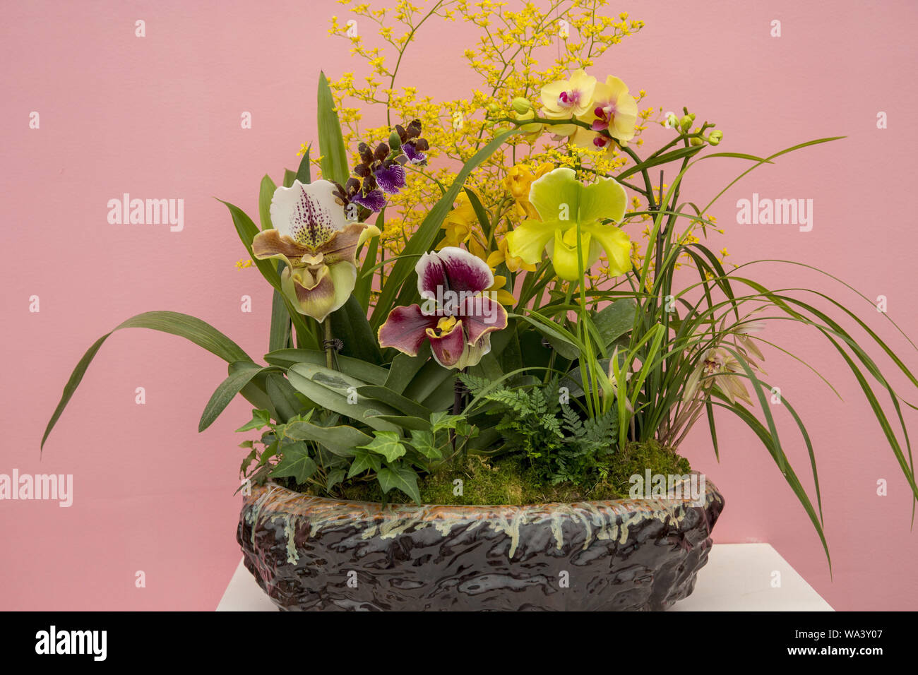 Flower arranging Stock Photo