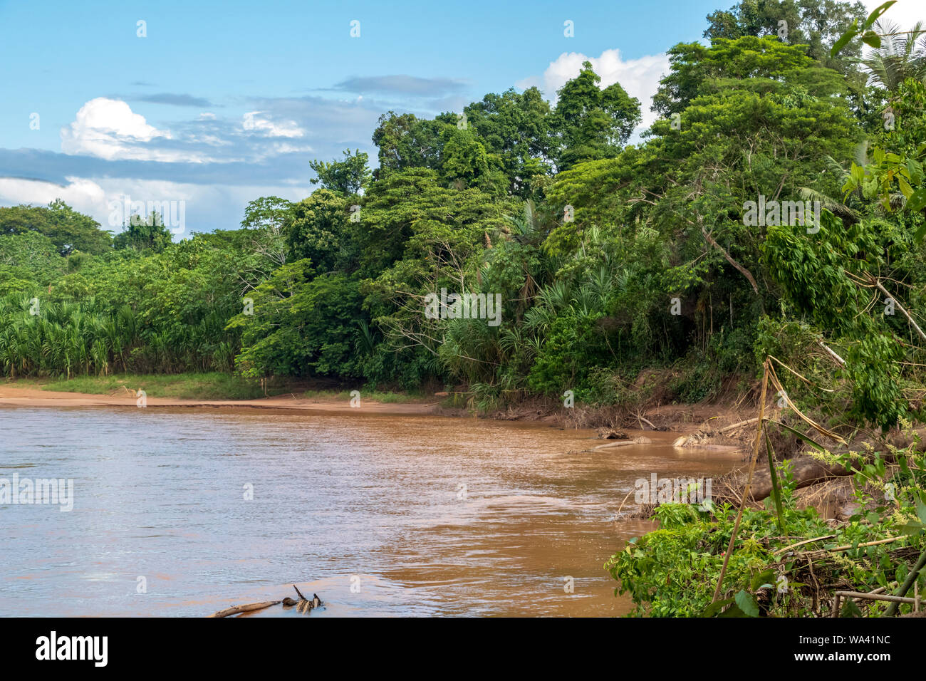 Amazon River Basin Madidi National Park At Golden Hour River Water Floating Through Green Rainforest Bolivia Stock Photo Alamy Amazon River Basin Madidi National Park At Golden Hour River Water Floating Through Green Rainforest Bolivia Stock Photo Alamy