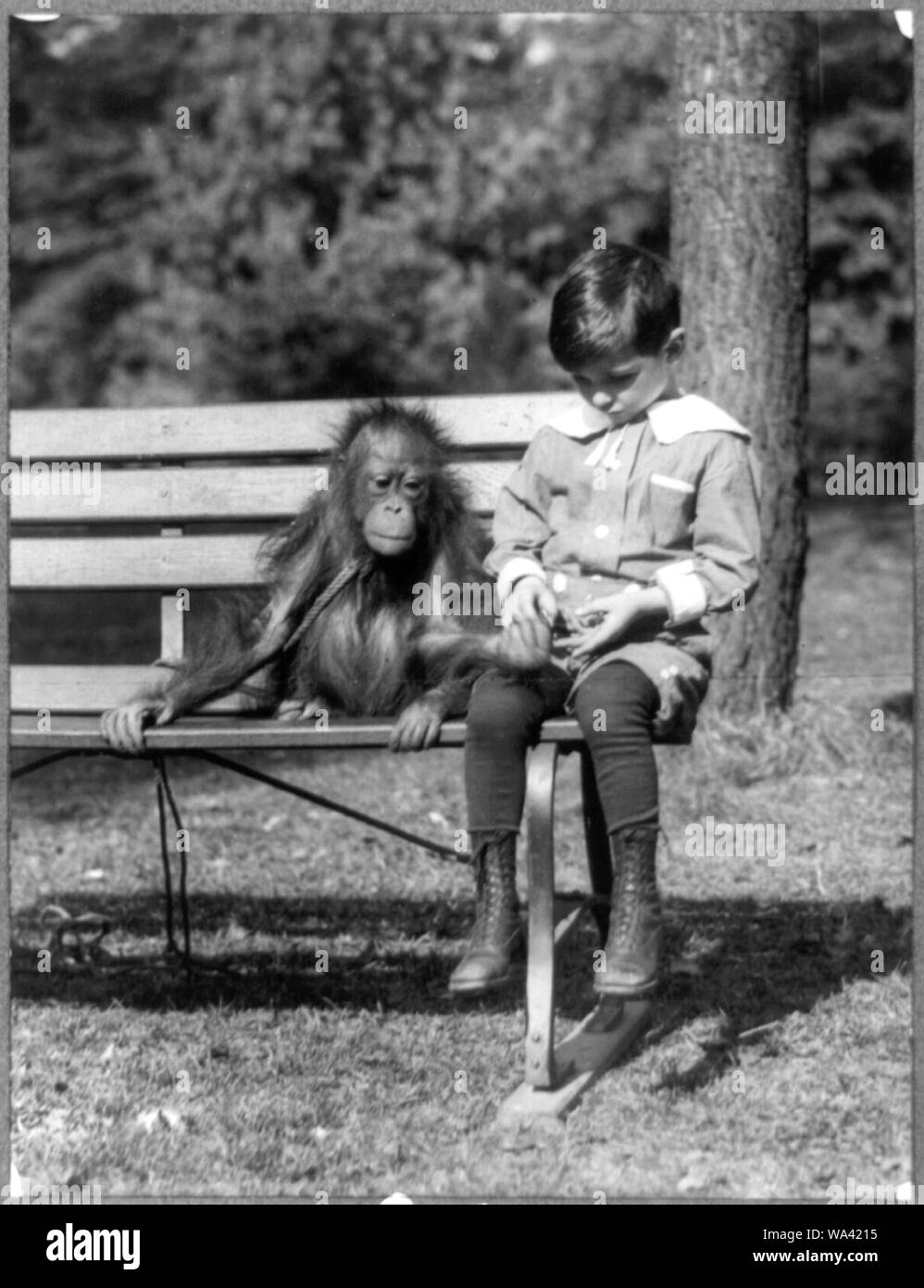 Boy seated with orangutan on bench at the National Zoo, Washington, D.C. Stock Photo