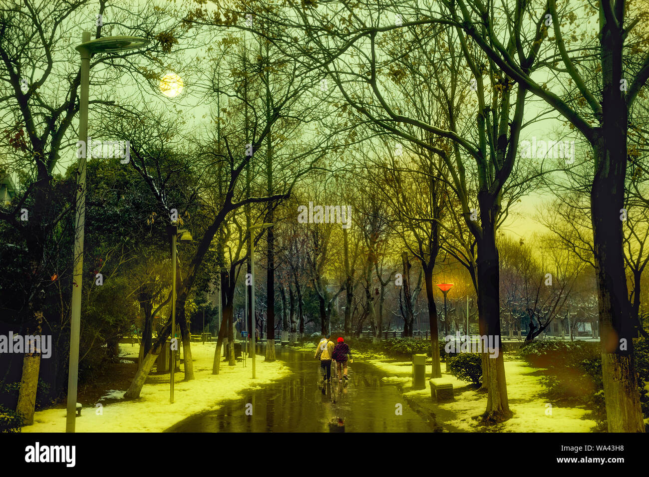 Mount tai park at night Stock Photo Alamy