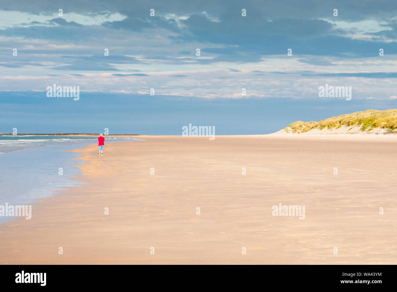 Wide expansive clean sandy beach on the Northumberland coast near Bamburgh. A solitary woman with a red top walking away alone on the sand by the sea. Stock Photo