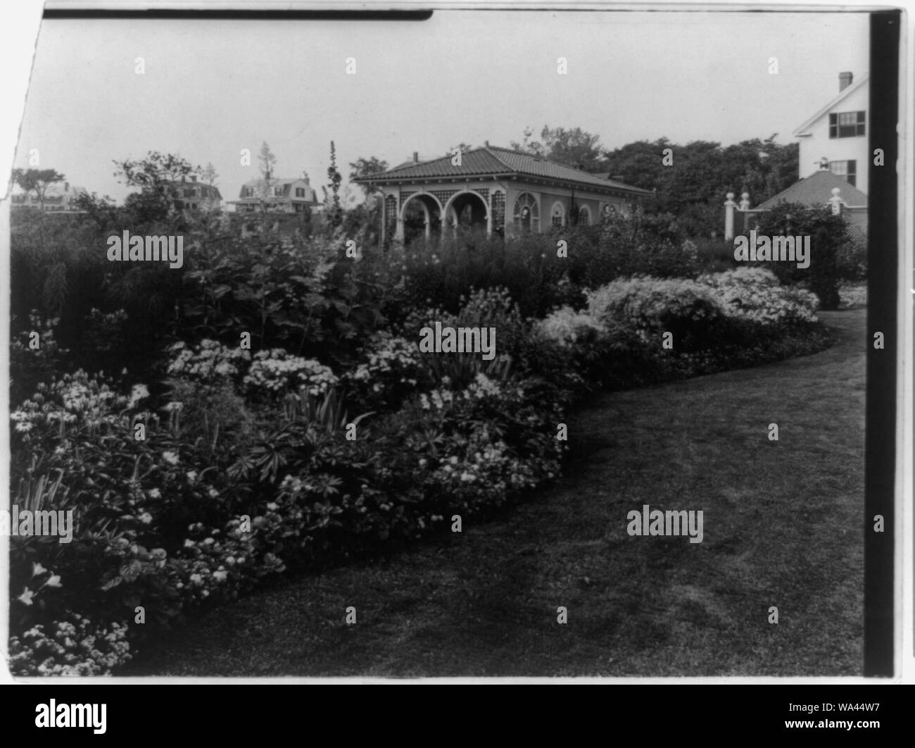 Little boars head hires stock photography and images Alamy