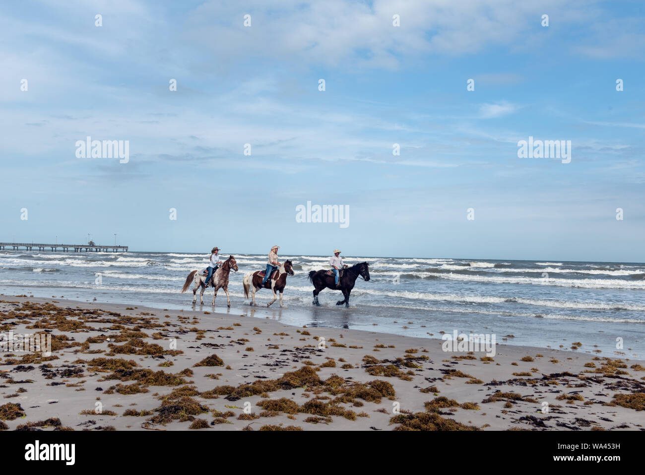 Brennan Wells; on the black horse, Kayla McShane, on the paint; and Macy Milbert, on the appaloosa, ride along Padre Island, near Corpus Christi, Texas. Wells owns the nearby, aptly named Horses on the Beach horseback-riding operation; the women are hands Stock Photo
