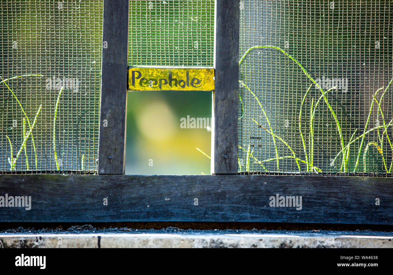 peephole in yellow wire mesh fence and blurred nature in the background Stock Photo