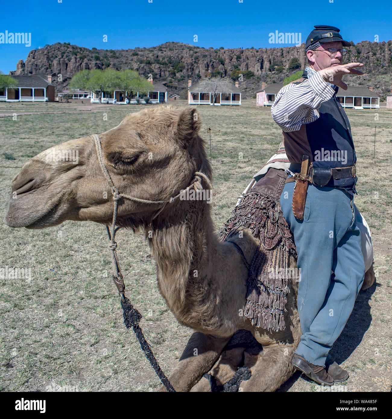 United States Camel Corps reenactor in Fort Davis, Texas. It was a 19th-century experiment by the United States Army in using camels as pack animals. Stock Photo