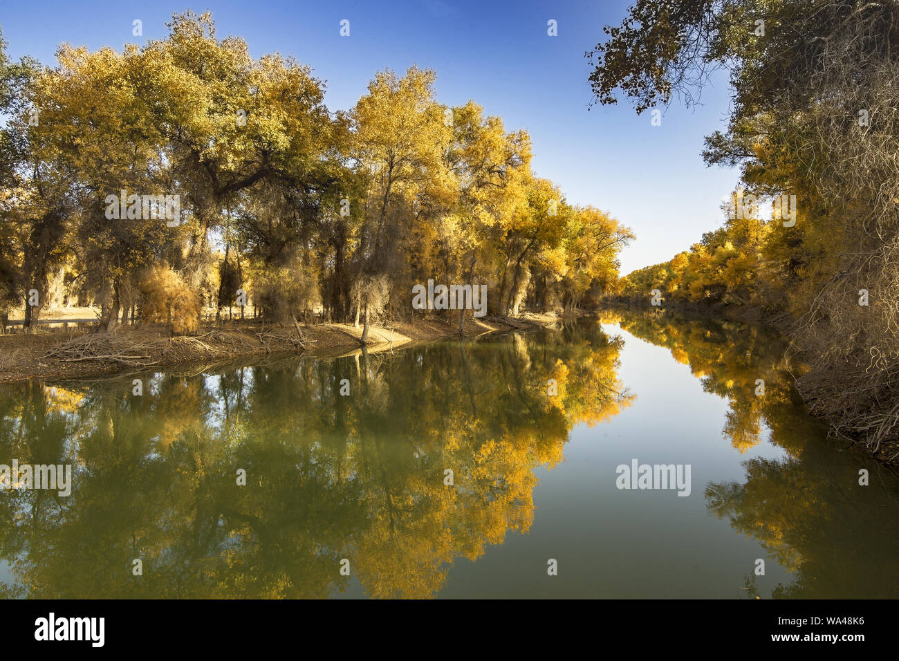 The tarim river in xinjiang in iminqak Stock Photo