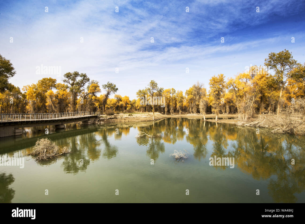 The tarim river in xinjiang in iminqak Stock Photo