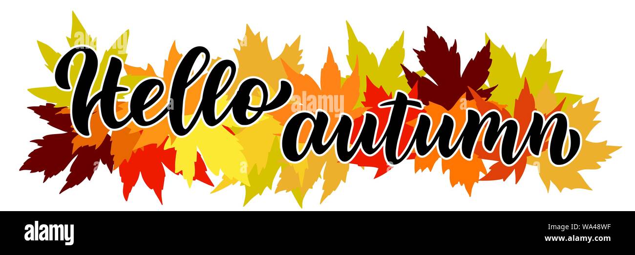 Hello autumn hand written composition with maple leaves in background Stock Vector