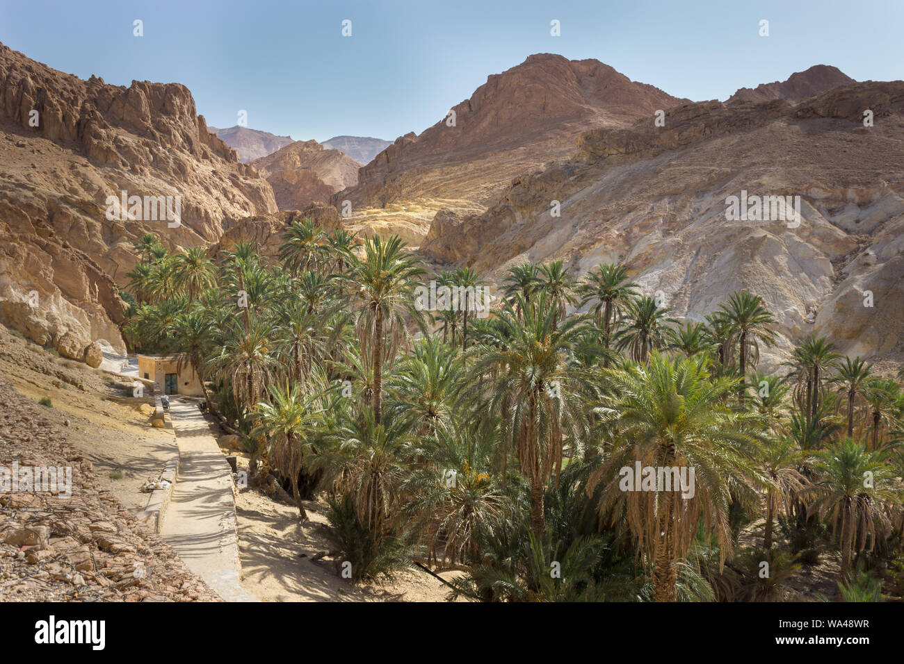 Beautiful Chebika mountain oasis in the middle of Sahara desert in ...