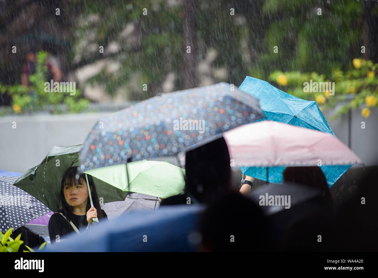 Hong Kong, China. 17th Aug, 2019. A demonstrator is holding an umbrella in her hand at a protest rally by teachers in Chater Garden. In Hong Kong there have been massive protests for more than two months now. The demonstrations were triggered by a government bill - now on hold - to extradite suspected criminals to China. Credit: Gregor Fischer/dpa/Alamy Live News Stock Photo
