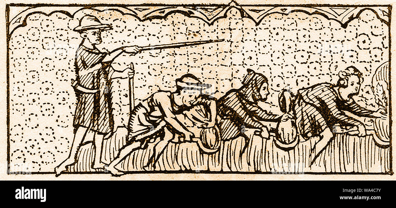 British peasants (serfs) in the Middle Ages harvesting corn (from a document of the time) Stock Photo