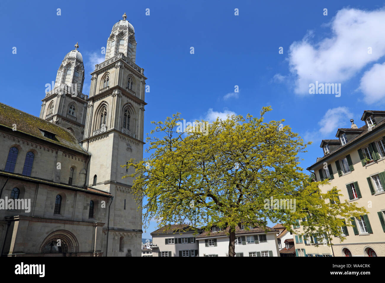 A tree a the Romanesque-style Grossmunster ('great minster') church, located in Zurich, Switzerland. Stock Photo