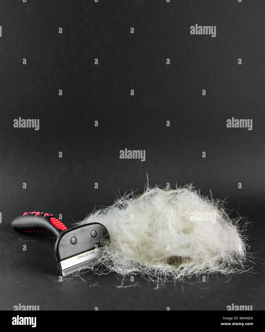 Hair loss dog hires stock photography and images Alamy