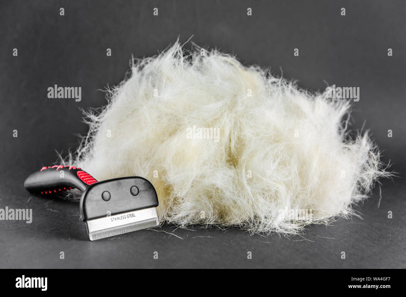 Hair loss dog hires stock photography and images Alamy