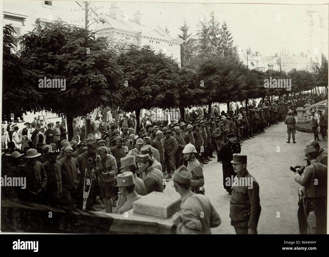 Die im Gefechte am 17. und 18. September 1915 bei der Stellung am Ravelnik gefangen genommen 2 Kompagnien des 6. Bersagliere Regimentes. Stock Photo
