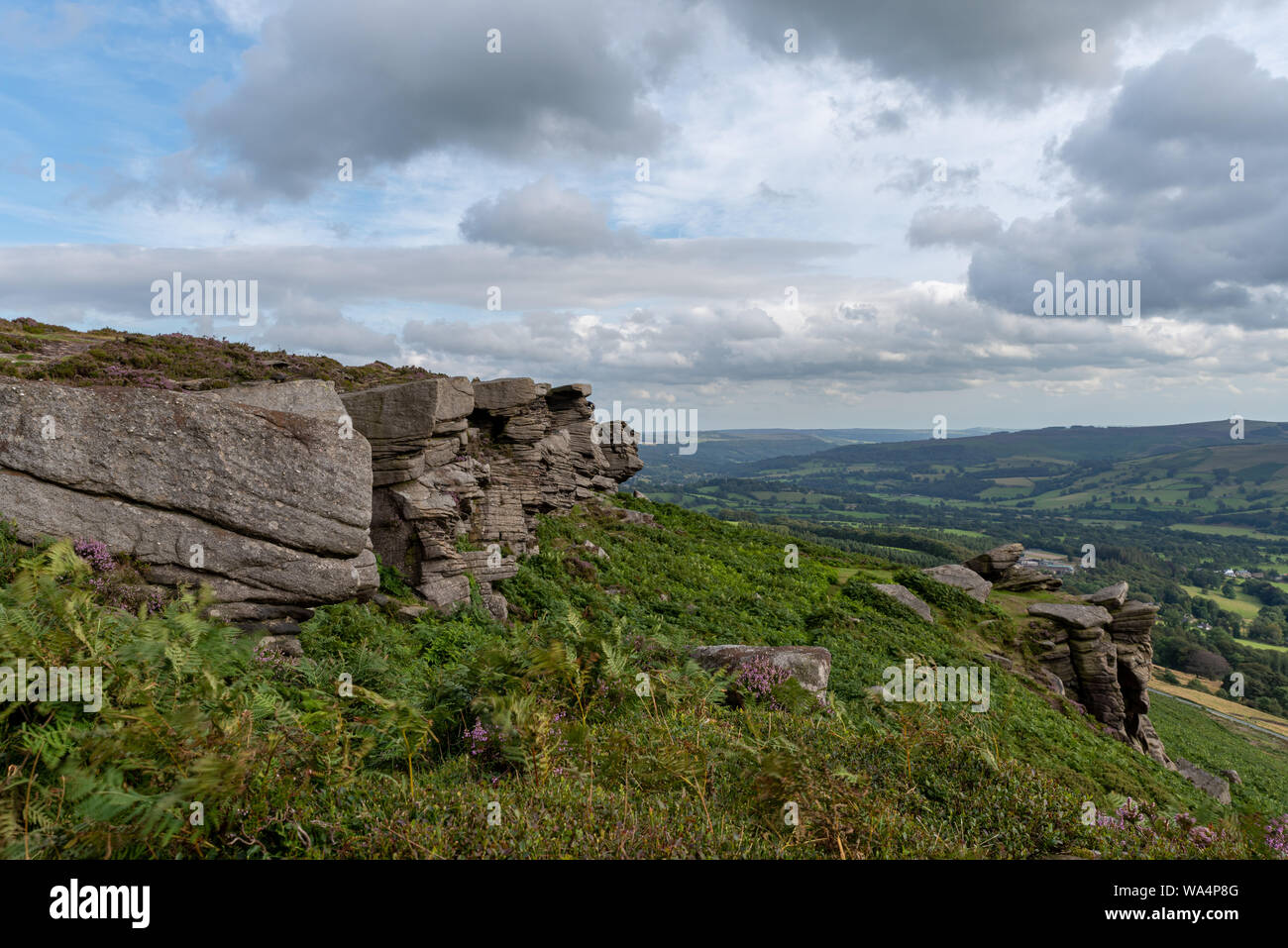 Bamford Edge view looking along Hope Valley with blue skies, fluffy clouds, and purple heather. Derbyshire, Peak District National Park. Stock Photo