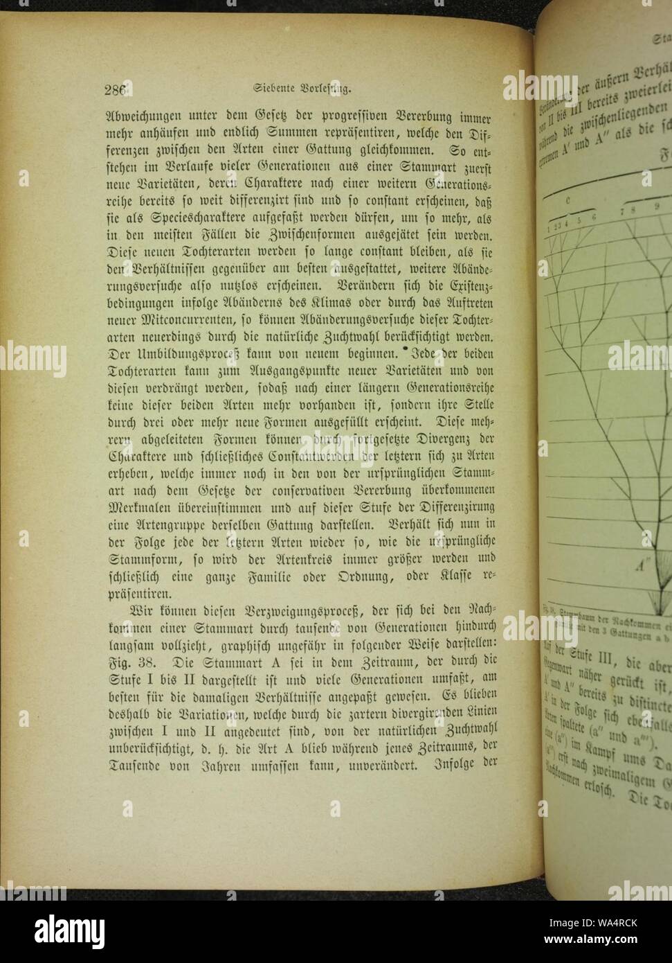 Page286