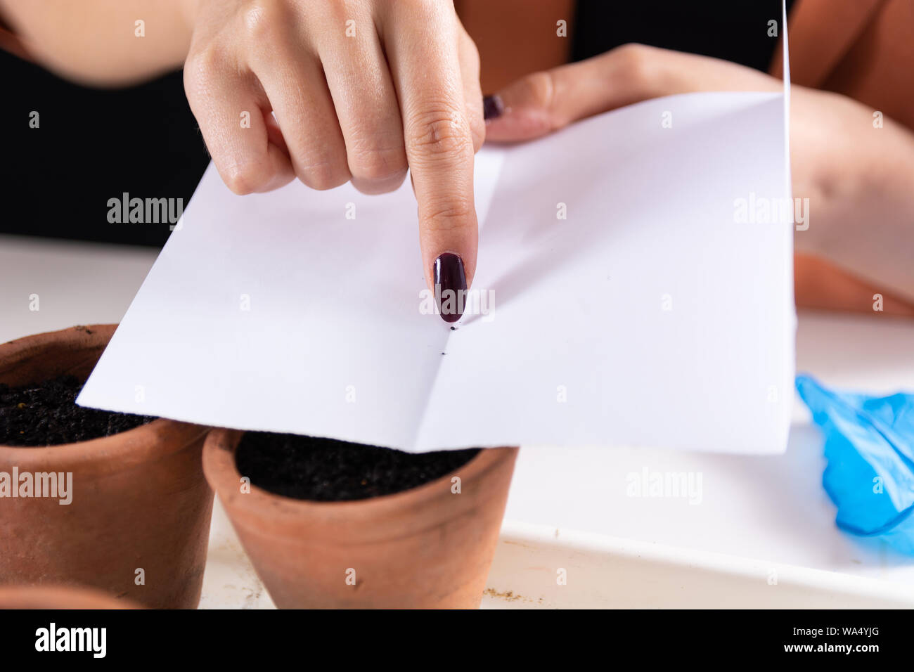 Paper Pot Seed High Resolution Stock Photography And Images Alamy
