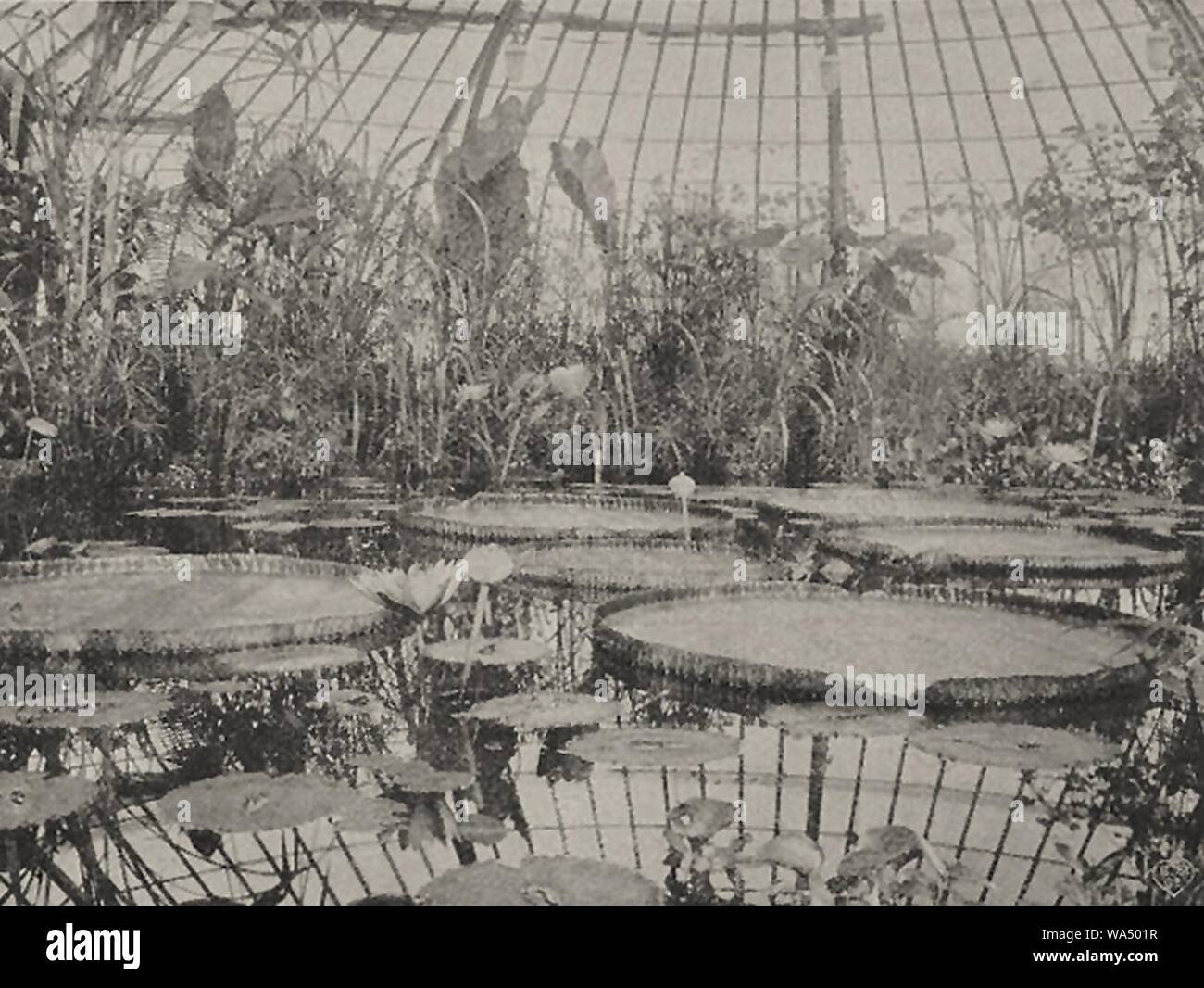 Gartenausstellung hi-res stock photography and images - Alamy