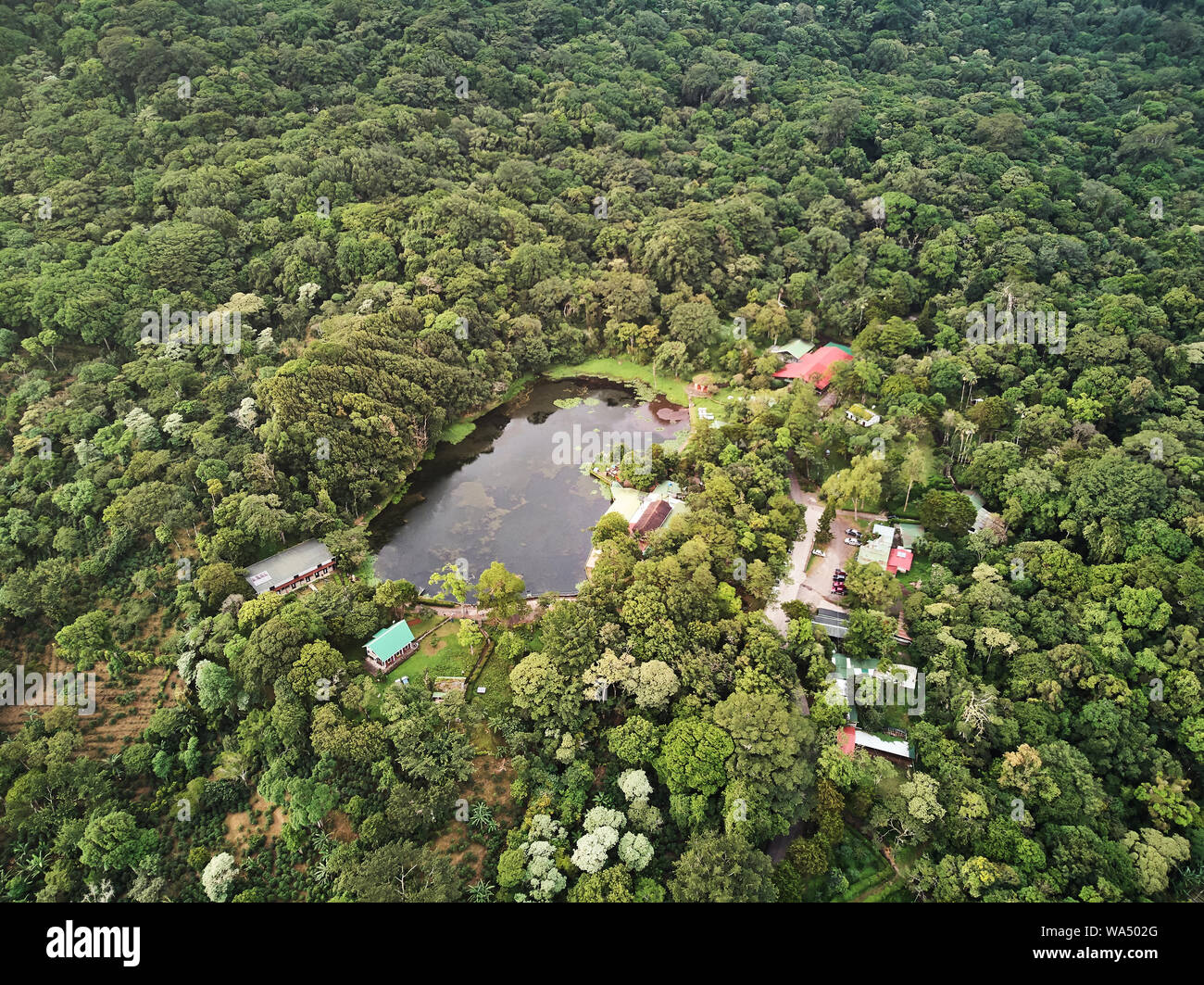 Lake surrounded by forest aerial drone view. Eco travel theme Stock Photo